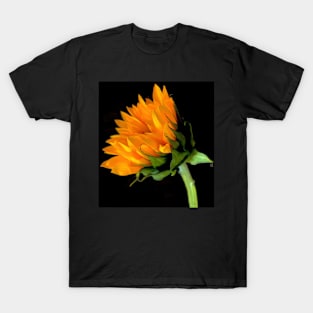 Sunflower T-Shirt